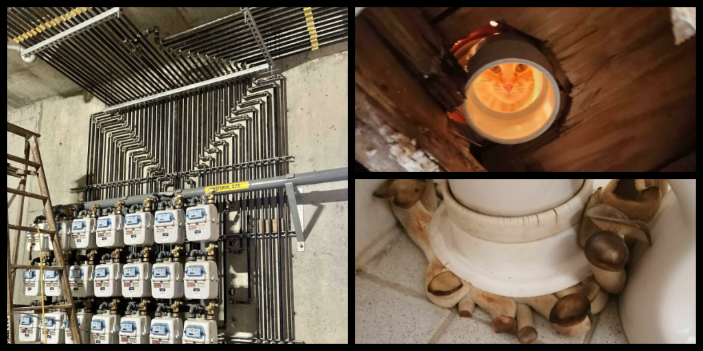 plumberfun_featured plumberfun_featured